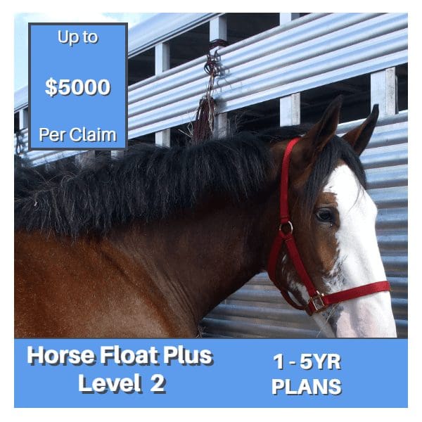 Integrity Horse Float PLus Level 2 warranty